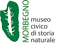 Logo Museo civico di Storia naturale di Morbegno