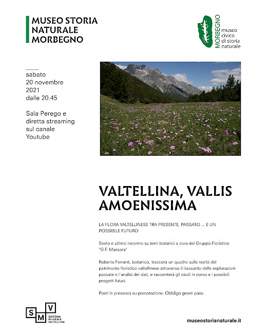 Valtellina, Vallis amoenissima: la flora valtellinese tra passato, presente... e un possibile futuro